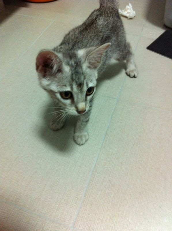 Photo 10-4-13 5 42 08 AM