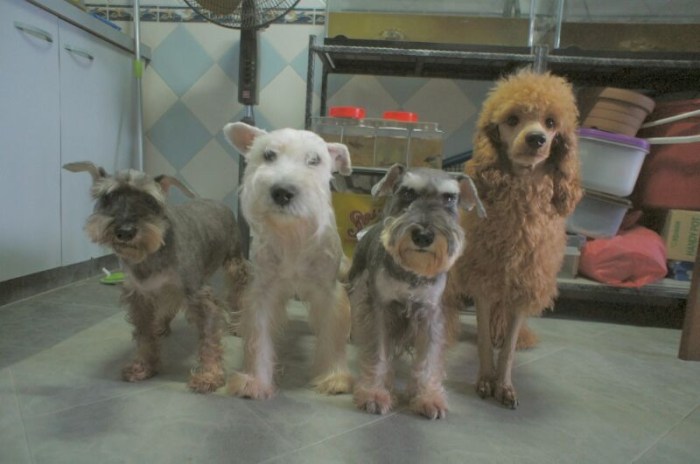 Photo 14-4-13 11 41 30 PM