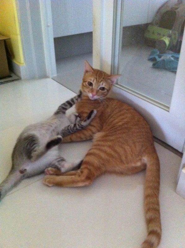 Photo 16-4-13 8 21 24 PM