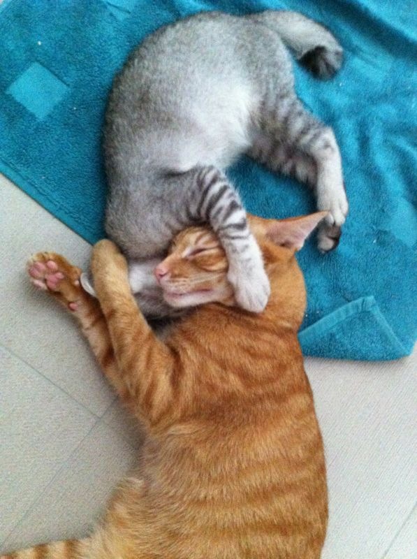 Photo 16-4-13 8 22 25 PM