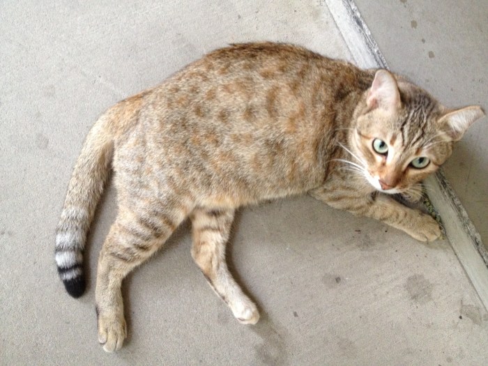 Photo Mar 24, 4 10 20 PM