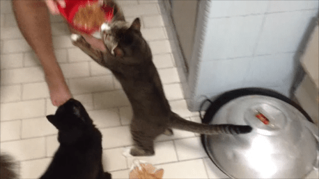 Snapshot 4 (22-5-2013 6-46 PM)