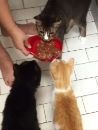 Snapshot 6 (22-5-2013 8-12 PM)