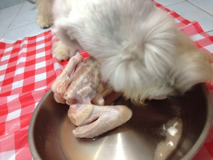 974876_10151426208736035_1851462721_n