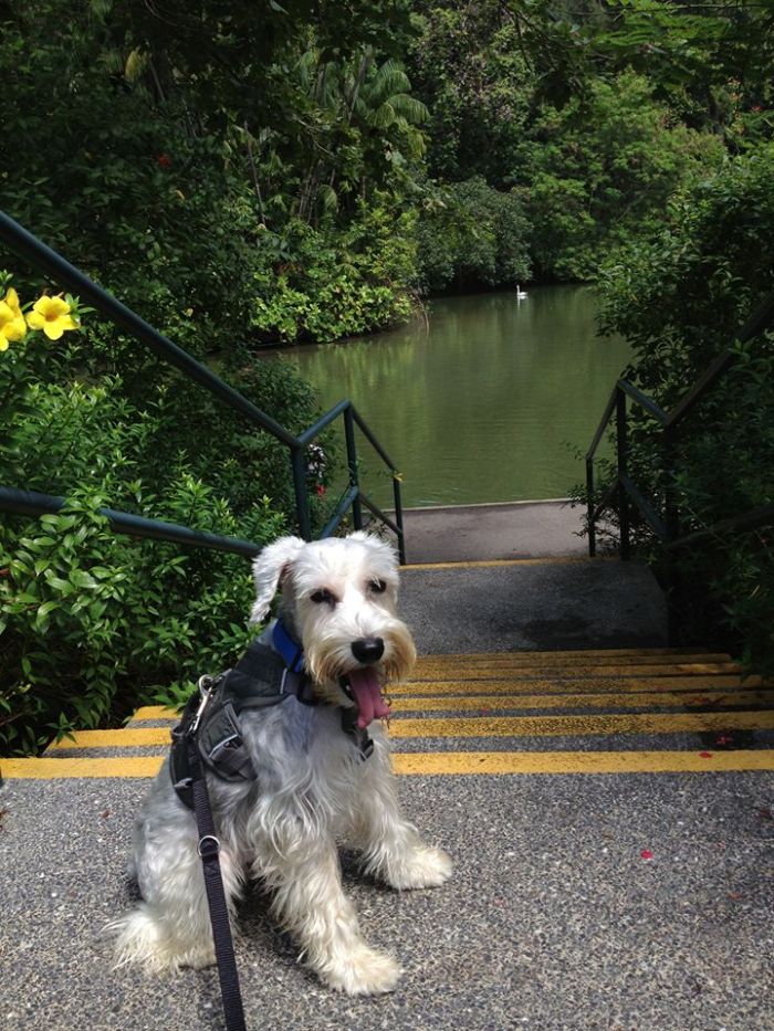 1292067_10151569478421035_1772780449_n (1)