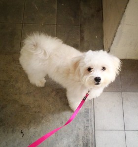 2013-07-16 16.58.41-2