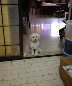 2013-08-11 10.43.31-1