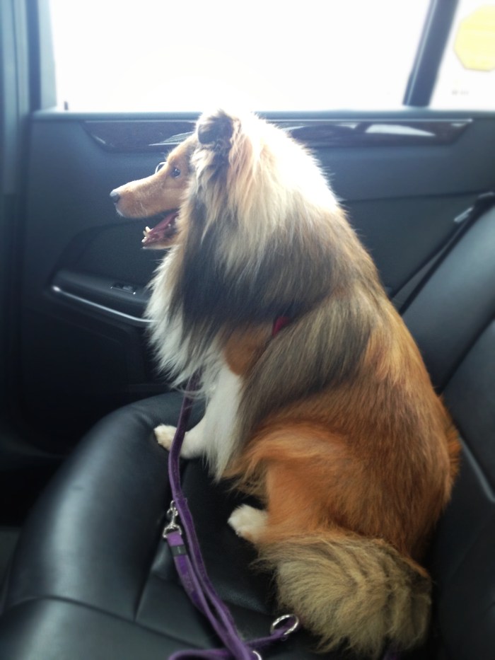 2014-08-24 17.20.59-1