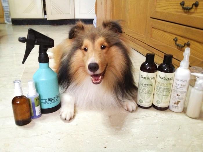 2014-09-28 14.42.18-1