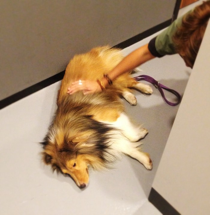 2014-10-08 16.53.54-1