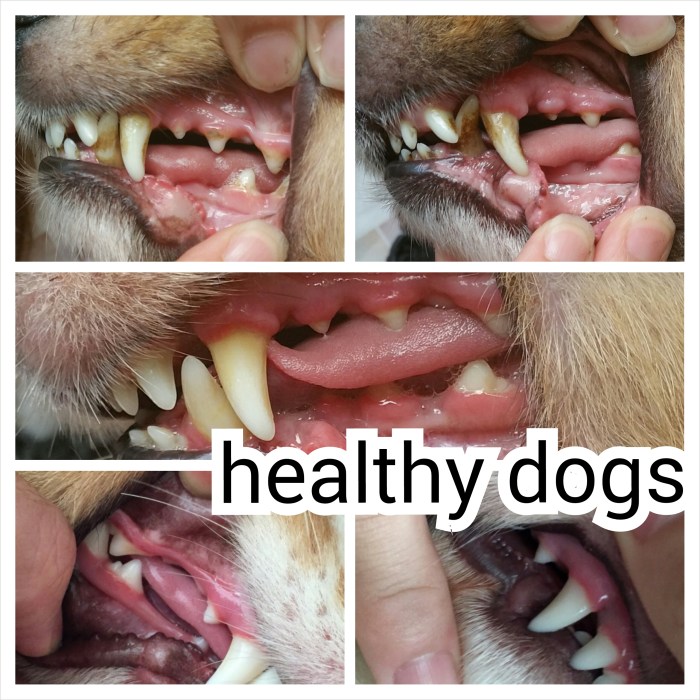 PhotoGrid_1423125543160